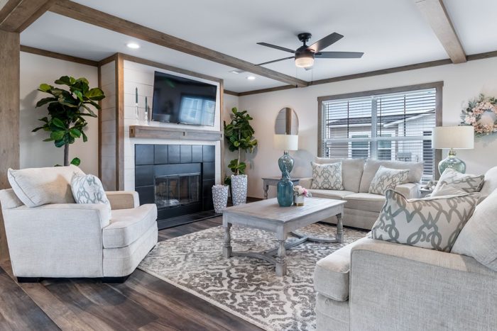 Living Room Features