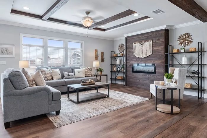 Living Room Features