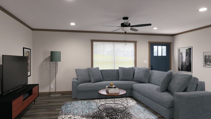 Living Room Features